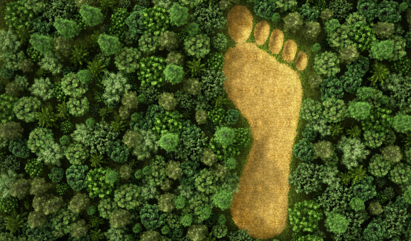 Concept,Of,Ecology.,Imprint,Of,Human,Footprint,In,Nature.,It Concept,Of,Ecology.,Imprint,Of,Human,Footprint,In,Nature.,It