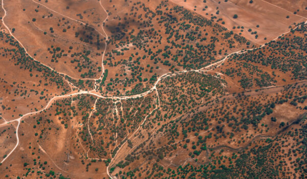 Abstract,Aerial,View,Of,Steppe,Landscape,With,Dusty,Roads,In Abstract,Aerial,View,Of,Steppe,Landscape,With,Dusty,Roads,In