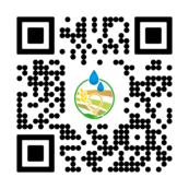 QR_code
