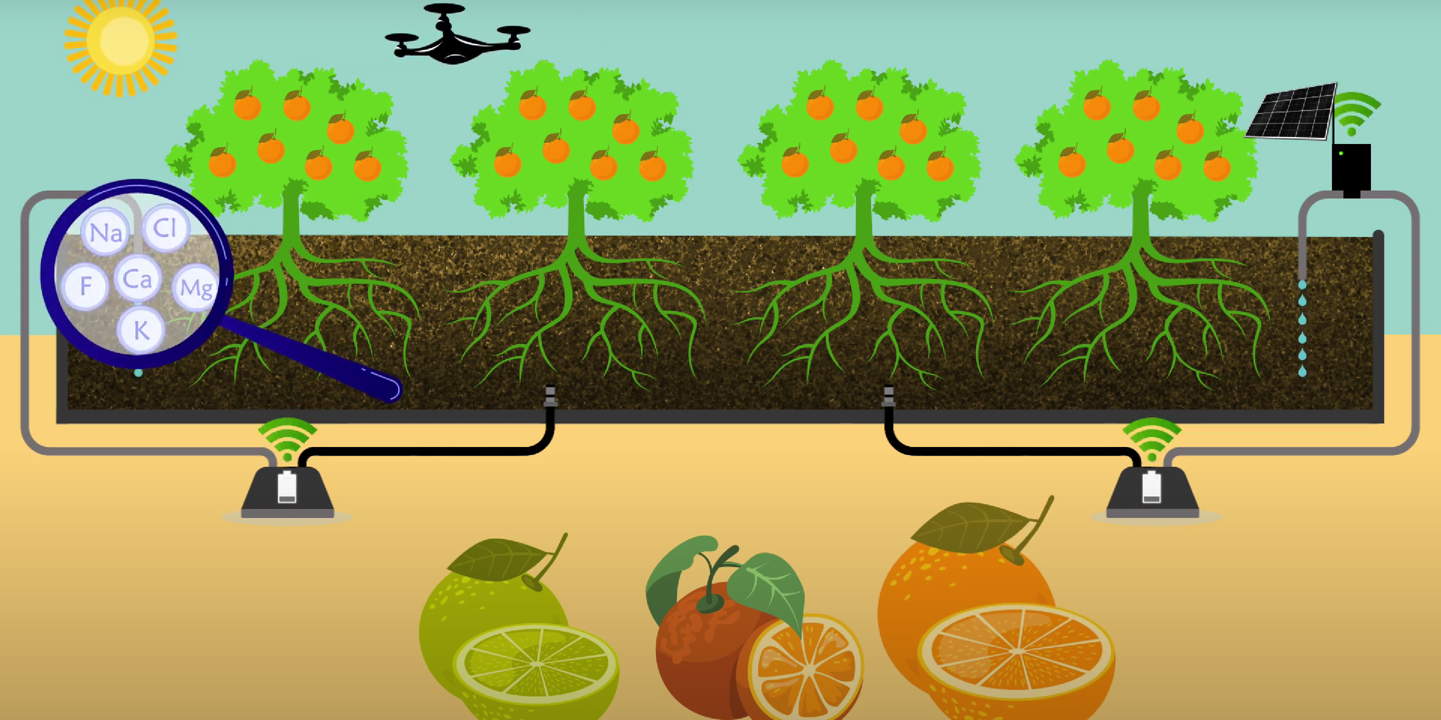 Screenshot 2024-01-29 115208