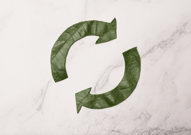 fotos-random-3-1-1240×877