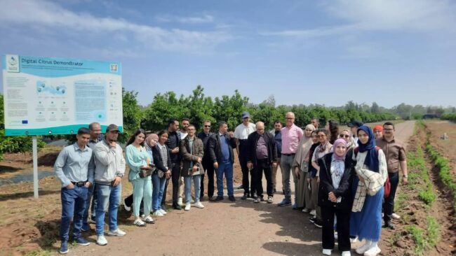 εικόνα_Viber_2025-04-28_09-42-27-858